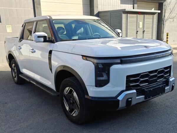 LHD Dongfeng Z9(Gasoline/Diesel/Hybrid)