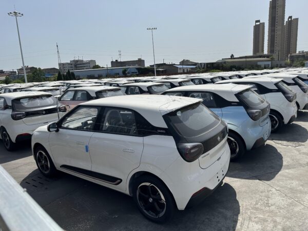 RHD Dongfeng Nammi Box(EV)