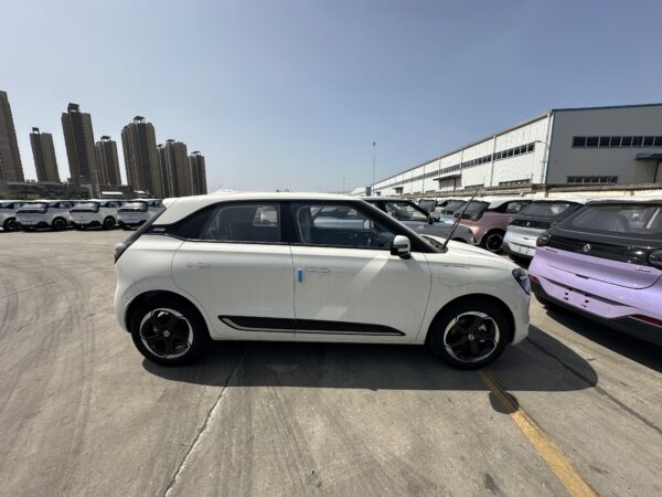 RHD Dongfeng Nammi Box(EV)