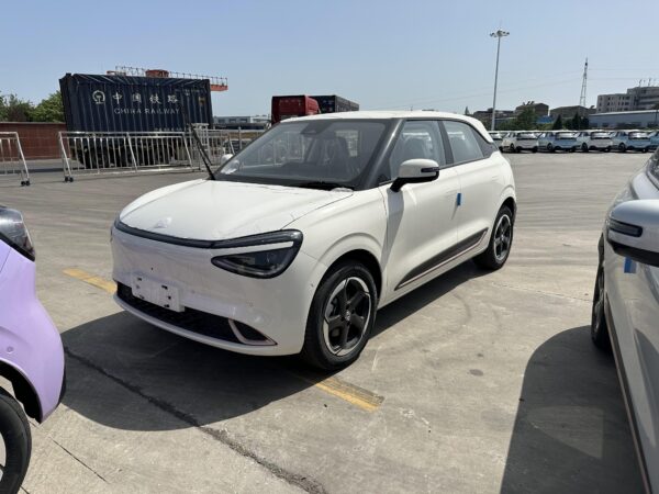 RHD Dongfeng Nammi Box(EV)