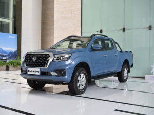 31 LHD/RHD Dongfeng Rich 6 Pro(Gasoline/Diesel)