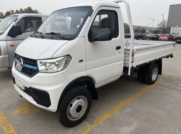 LHD Kama W21 (Gasoline)