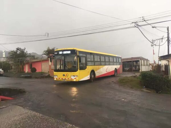 LHD Bonluck JXK6132 (Diesel)