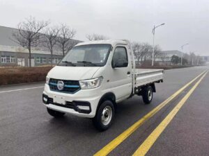 LHD/RHD Kama EW01 (EV)