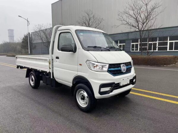 LHD/RHD Kama EW01 (EV)