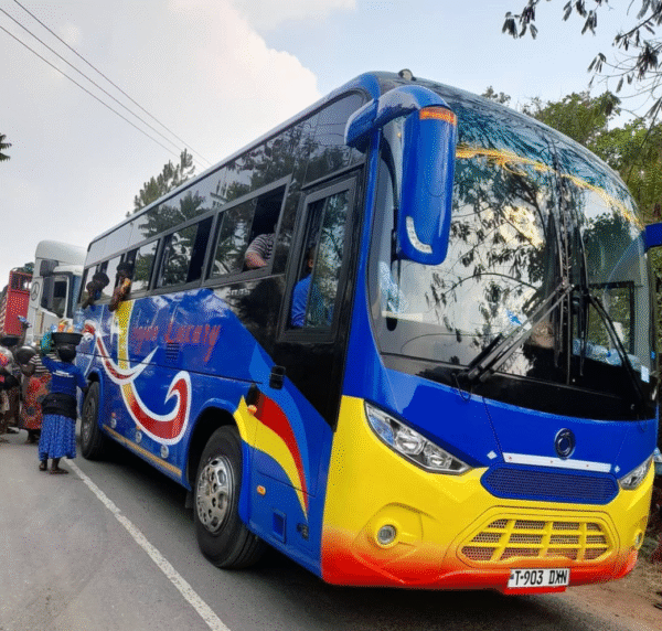 LHD/RHD Sunlong SLK6950 (Diesel)