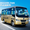 1751015961050 LHD Dongfeng EQ6608LT6N (CNG)