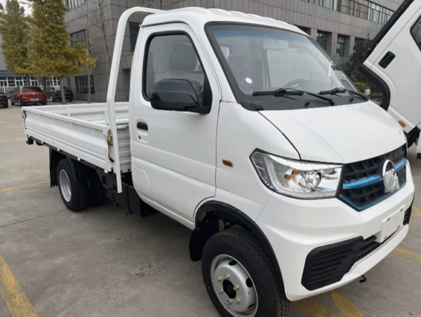 LHD Kama W21 (Gasoline)