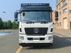 LHD Dongfeng EQ1180EVJ(EV)