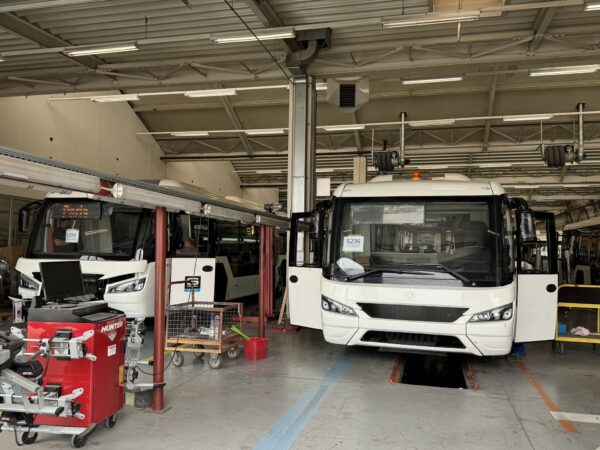 LHD Bonluck JXK6147 (Diesel)