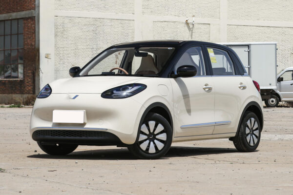 3 右舵 RHD Wuling Bingo(EV)