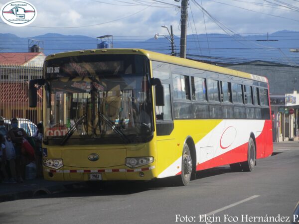 LHD Bonluck JXK6132 (Diesel)