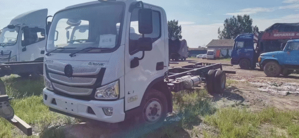 LHD/RHD Foton Crane Truck (Diesel)