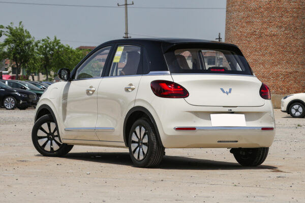 5 右舵 RHD Wuling Bingo(EV)