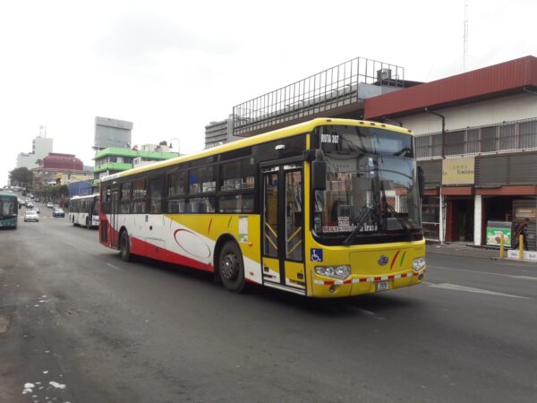 LHD Bonluck JXK6132 (Diesel)