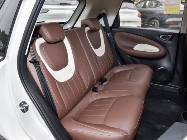 9 右舵 RHD Wuling Bingo(EV)