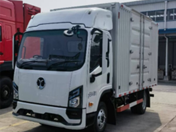LHD Dongfeng EV Cargo Truck (EV)