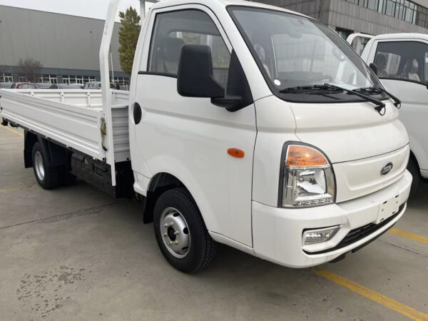 LHD Kama X21 (Gasoline)