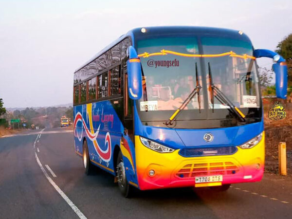 LHD/RHD Sunlong SLK6950 (Diesel)