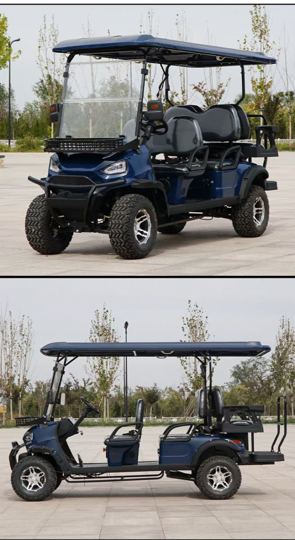 LHD/RHD EV Golf Cart 6-seat (EV)