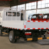 LHD DFAC 3-ton Payloading Cargo Truck (diesel)